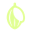 Caccao
